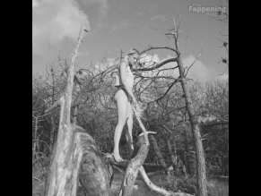 Svea Bein Sexy And Attractive Photos Collection