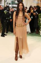 Zoe SaldanaSexy in Zoe Saldana Stuns In Sexy Dress At The Met Gala In Nyc