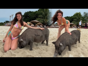 Rachel Pizzolato Sexy Shows Off Her Hot Bikini Body At Pig Island