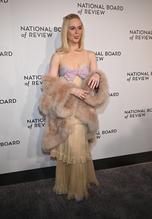 ELLEFANNINGTHENATIONALBOARDOFREVIEWANNUALAWARDSGALA - NUDE STORY