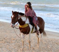 Alessandra AmbrosioSexy in Alessandra Ambrosio Sexy Goes Horseback Riding With Her Boyfriend On the Beach in Brazil