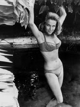 HONORBLACKMANGOLDFINGERBONDGIRL8X10PHOTO - NUDE STORY