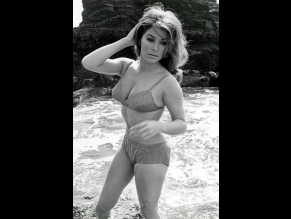  alt="Michele Carey Sexy in Michele Carey Sexy And Nude Photos Collection"