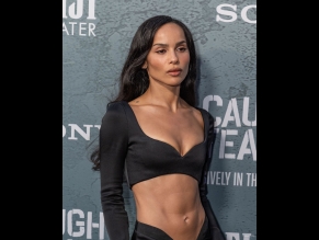 Zoe Kravitz Sexy Shows Off Her Hot Cleavage At The 