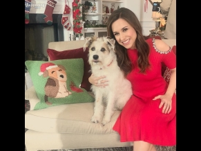  alt="Lacey Chabert Sexy in Lacey Chabert Sexy And Sensual Photos Collection"