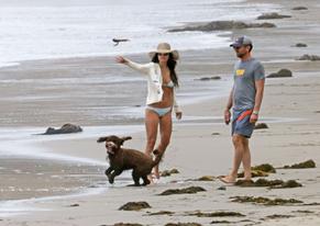 Jordana BrewsterSexy in Jordana Brewster Sexy Seen Having A Romantic Picnic With Mason Morfit at the Beach In Santa Monica