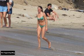 Shailene WoodleySexy in Shailene Woodley Sexy Seen Wearing A Bikini Showing Off Her Hot Body At The Beach In Malibu